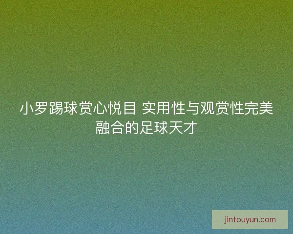 小罗踢球赏心悦目 实用性与观赏性完美融合的足球天才