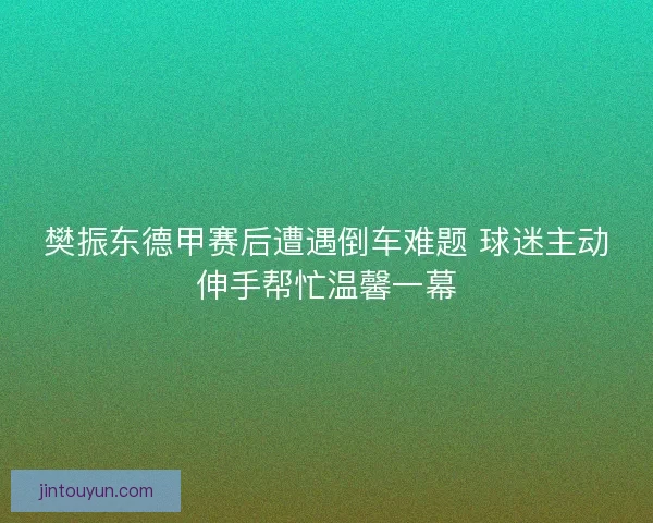 樊振东德甲赛后遭遇倒车难题 球迷主动伸手帮忙温馨一幕 樊振东德甲赛后遭遇倒车难题 球迷主动伸手帮忙温馨一幕