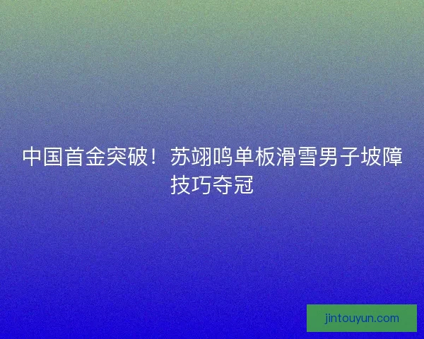 中国首金突破!苏翊鸣单板滑雪男子坡障技巧夺冠 中国首金突破!苏翊鸣单板滑雪男子坡障技巧夺冠